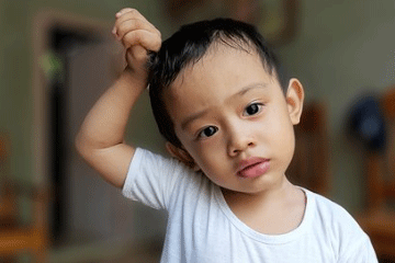 2024年嚴(yán)子涵的名字意義什么
